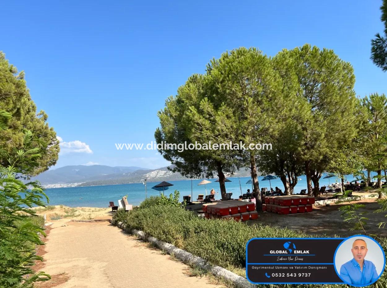 3 1 Villen Zum Verkauf In Kocareis Komplex Am Meer In Der Gegend Von Mercimek In Didim Fevzipaşa