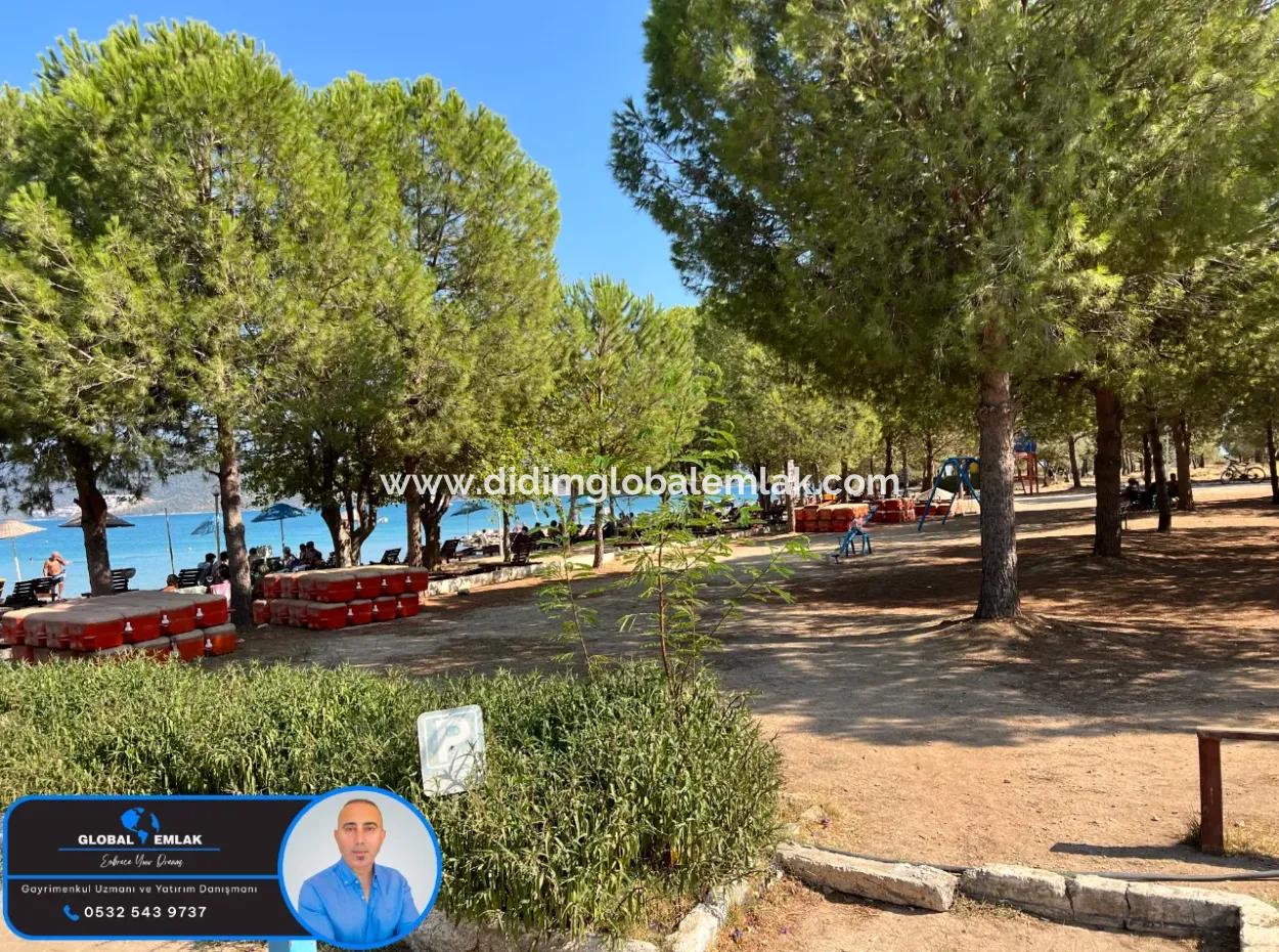 3 1 Villas For Sale In Kocareis Complex By The Sea In The Mercimek Area Of Didim Fevzipaşa